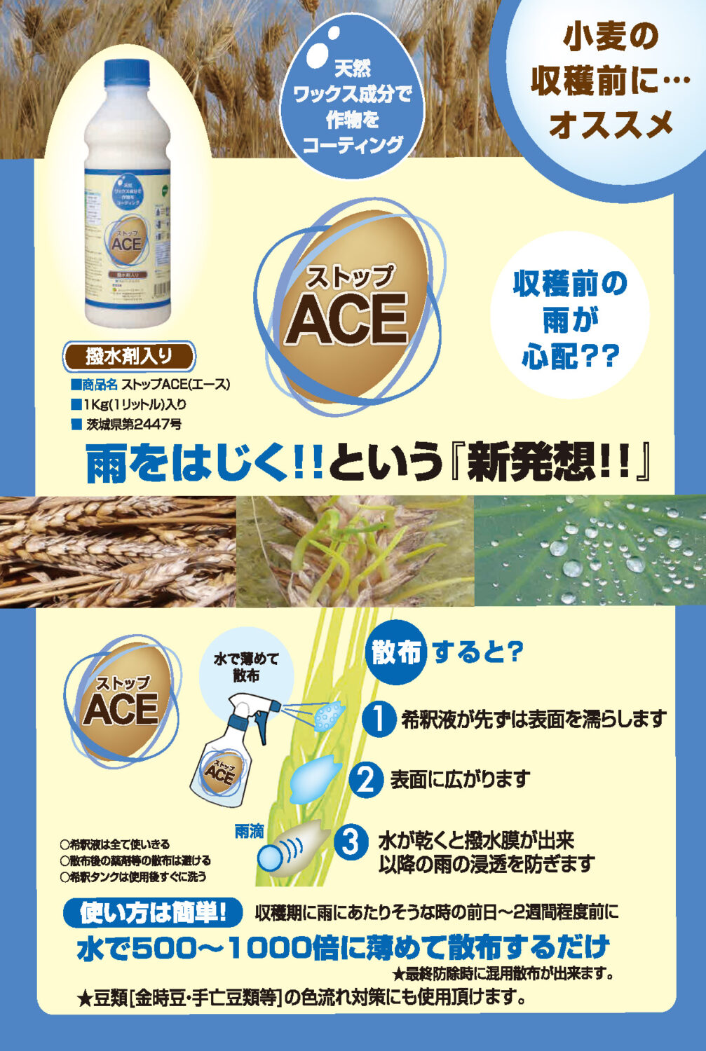 ACEkomugi _1